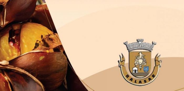  Magusto de São Martinho | Balasar