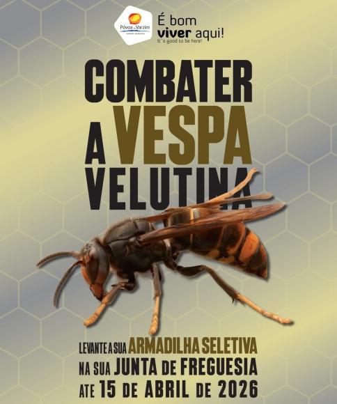 Combater a Vespa Velutina | Proteger a Biodiversidade e o Ecossistema
